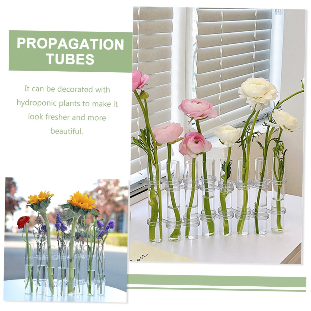STOBAZA Vase Verre Transparent Grand Format pour Propagation de Plantes Hydroponiques Brosse Support de Décoration Intérieure pour Jardin Mural et Bureau