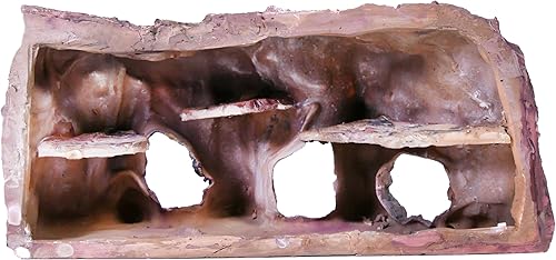 Miniatura 8 de Penn-Plax Grotto Natural Cliff Rock-Scape - Decoración de terrario y acuario para reptiles, anfibios, peces y otros animales pequeños, tamaño