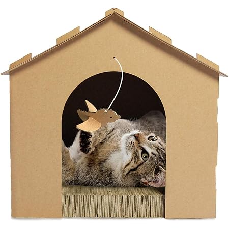 cat gingerbread scratch house