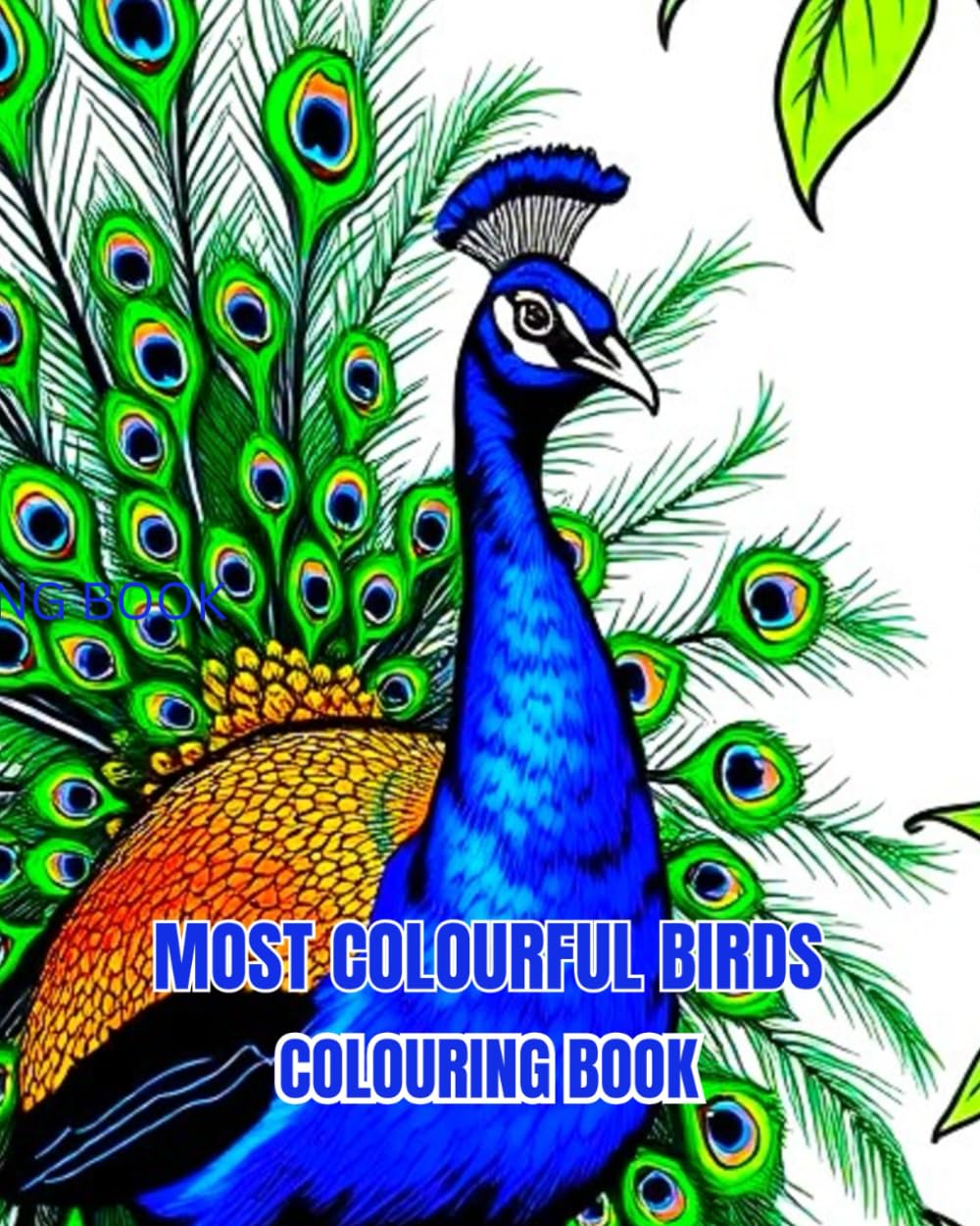 MOST COLOURFUL BIRD'S: A colouring book about the worlds most colourful birds. (LIMITED EDITIONS)