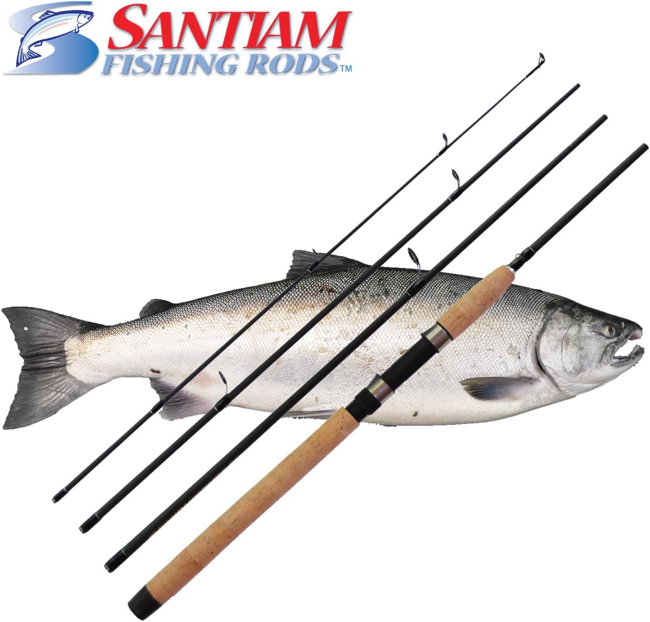 Travel Rod 4 Piece 8'6'' 6-12lb MF Graphite Spinning Rod