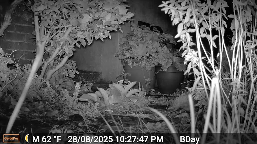GardePro E8P Max Caméra De Chasse, WiFi, Batterie Rechargeable 8000 MAh Carte Sd Integree 64mp 1296p Camera E8pmb No Glow Infrarouge Vision Nocturne