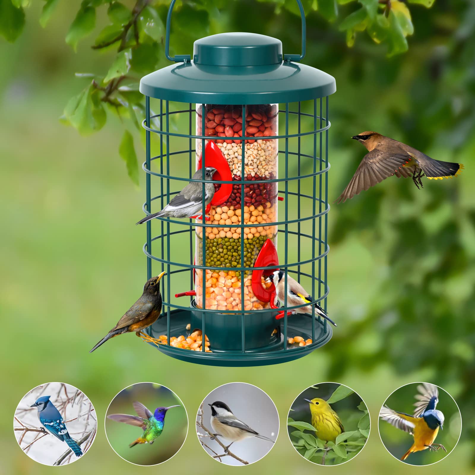 Eichhörnchensicherer Vogelfutterspender – Verstellbarer Käfig Mit 1,4 Kg Fassung (Kupfer, Outdoor)