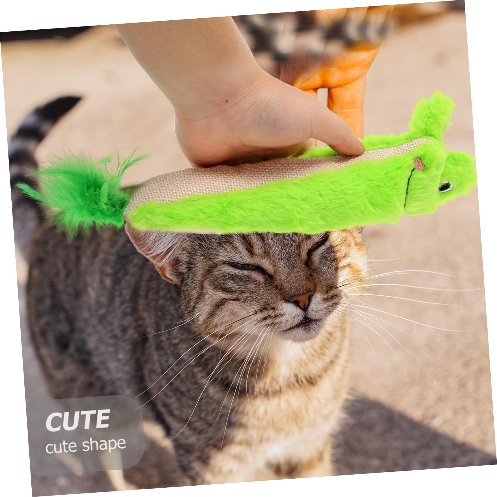 Jouet Chat Herbe à Chat Taquiner Jouets Intérieur Produits Mâcher Dentaire Interactifs