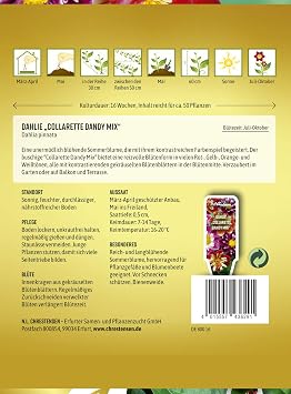 Dahlia Collarette Dandy Mix Seeds