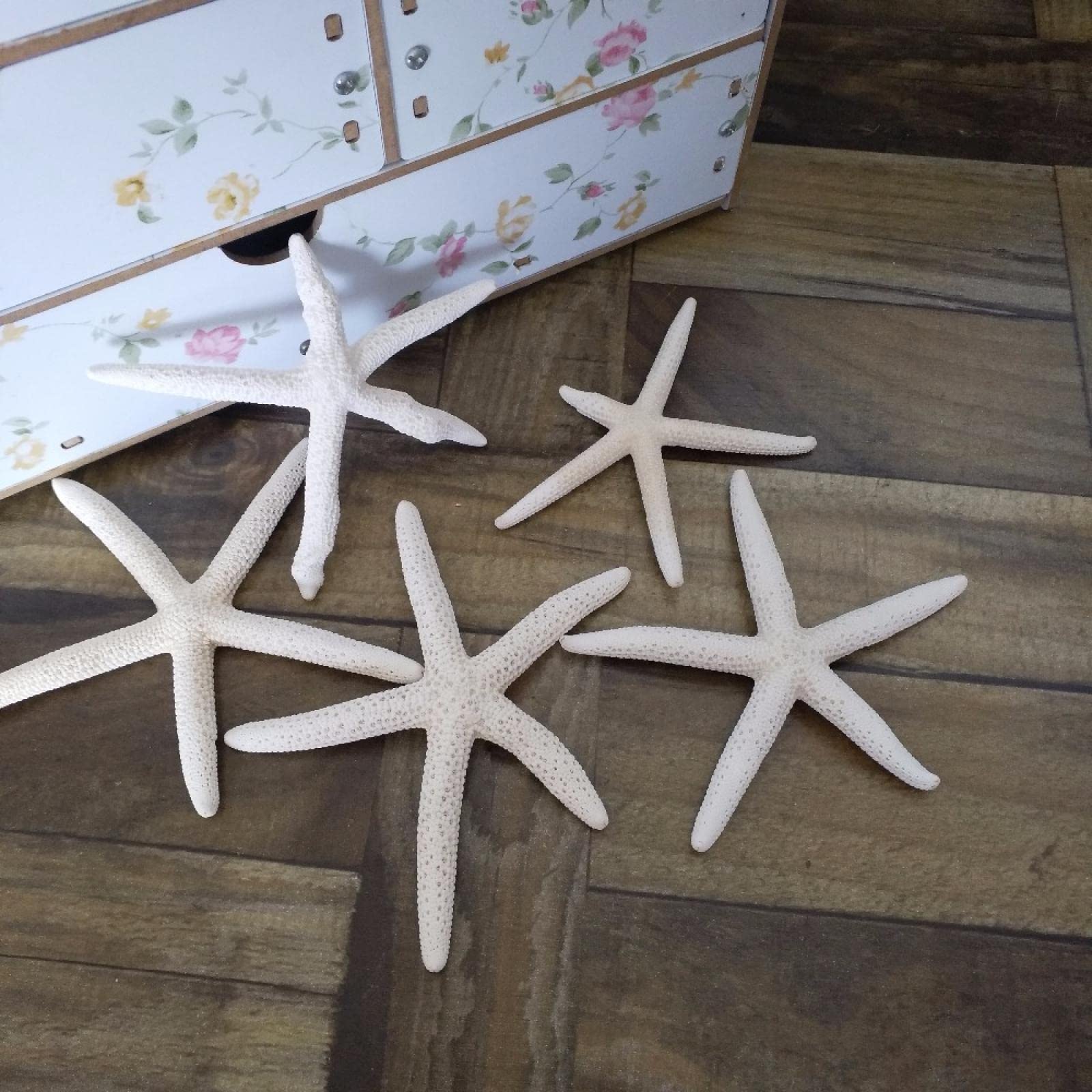 Coquille corail moyen et étoile de mer naturelle pour artisanat d'art