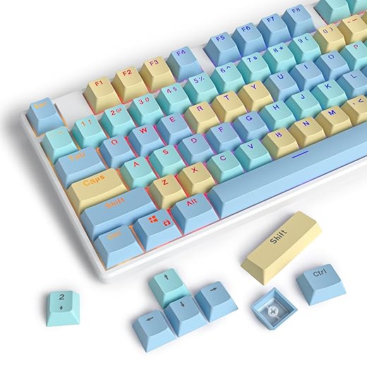 Blue Samurai CSA Custom keycaps ，163 Keys Double-Shot Key Cap Set for Cherry/Gateron MX switches 60 Percent / 64 /GK61 Gaming Mechanical Keyboard