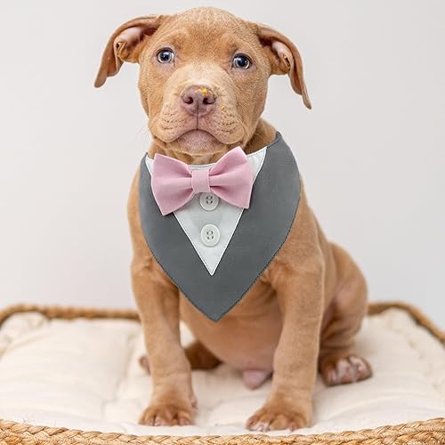 Miniatura 8 de KOOLMOX - Esmoquin para perros pequeños traje formal elegante para perro con corbatín traje de boda para perro traje de esmoquin para perro