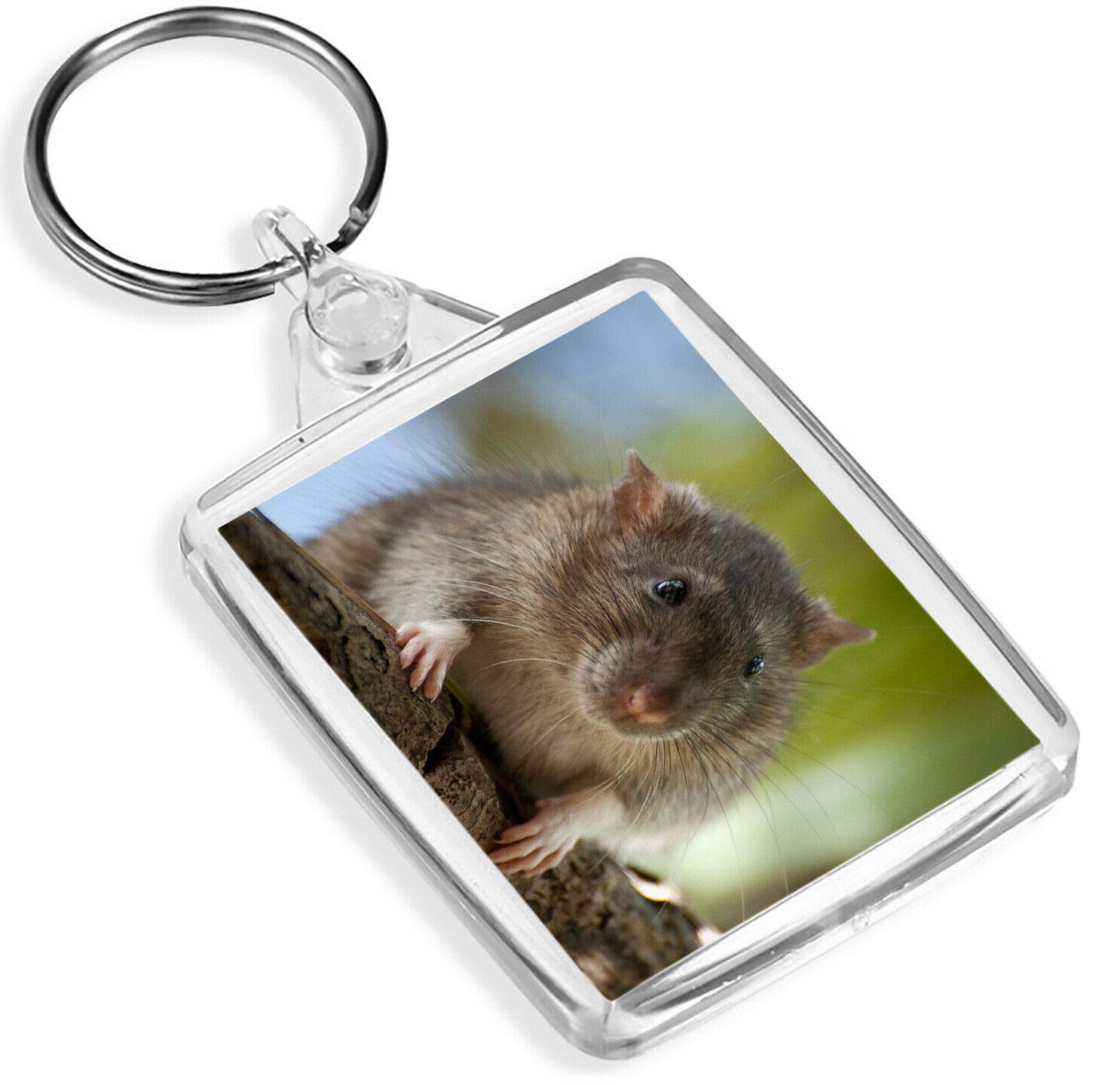 Destination Vinyl Keyrings Unisex Multi Brown Rat Keyring - Ip02 - Rodent Mice Pet Hamster Cute #16400