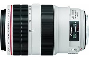 Canon 70-300mm f/4-5.6L IS USM Lens