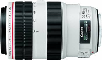 ☆極美品☆キヤノン EF 70-300mm f4-5.6 IS USM #880 Amazon.com
