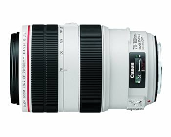 ✨美品✨Canon キヤノン EF 70-300mm F4-5.6 IS USM 7dd0099b-630f-4c23-b436-