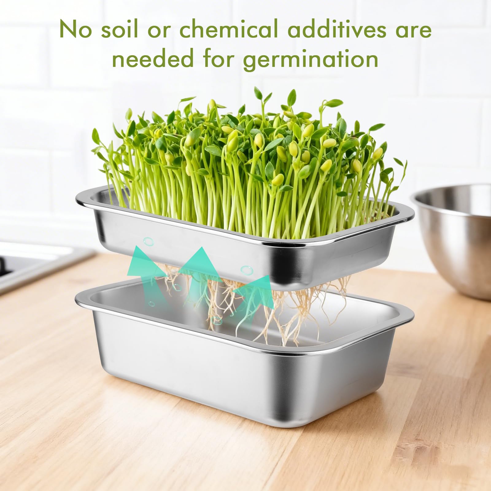 Set di 2 ciotole per germogli in acciaio inox per germogli, 26 x 19 cm, seed sprouter vassoio, set per la coltivazione di serre, ciotole per crescione, ciotole per germogli, microgreens