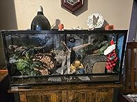 Review Image by Jim Firestine Jim Firestine