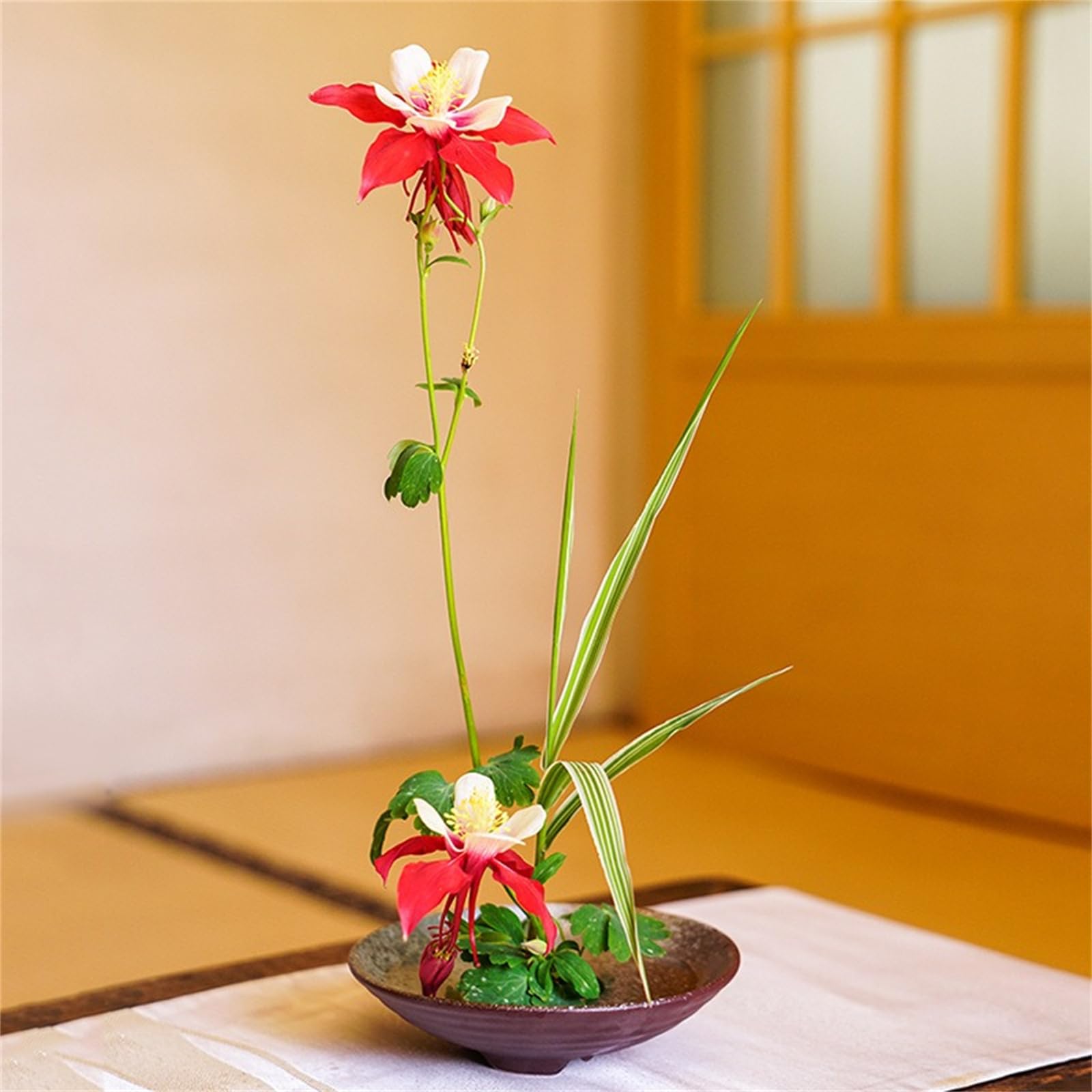 Amazon.co.jp: 華道 生け花用 水盤 生花用の花器 陶器 挿花