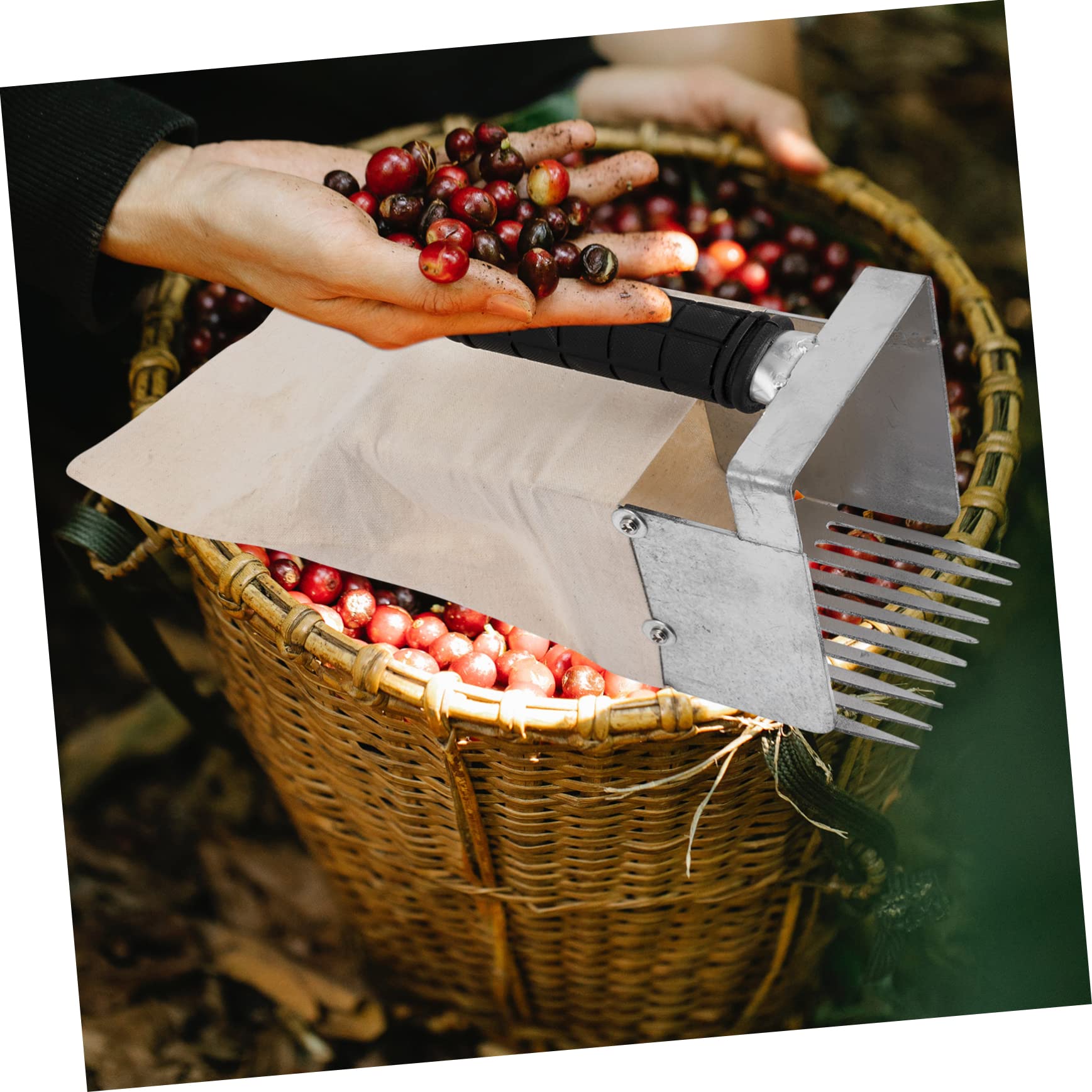 Hemobllo Rastrello Raccolta Mirtilli Leggero Con Manico Ergonomico Attrezzo Portatile Per Frutti Piccoli Senza Danni Utile Per Frutteti e Giardinaggio