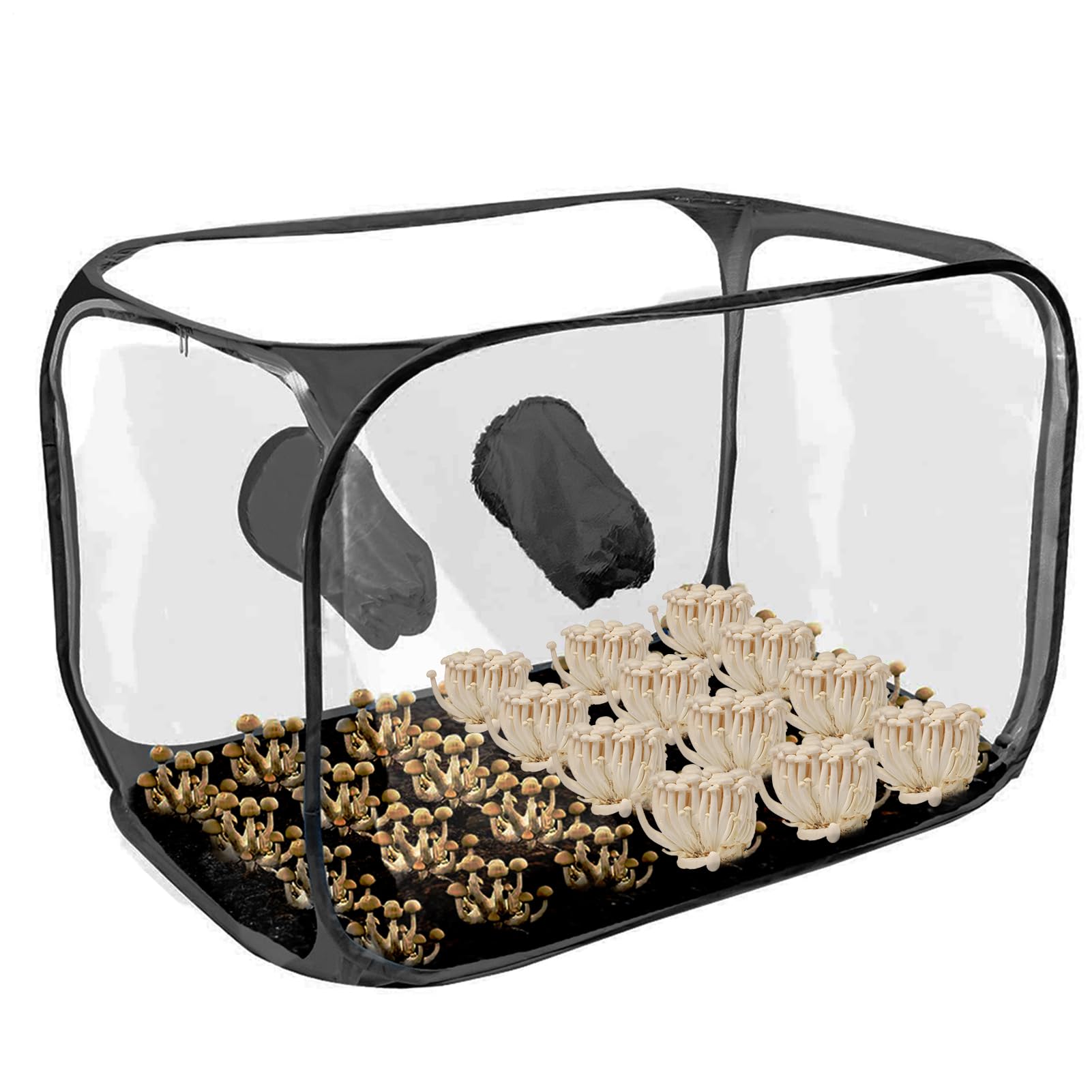 Cámara de Crecimiento De Setas - Cúpula Transparente Portátil, Caja De Transpirable | Cerca de Siembra Reutilizable De Apertura Ancha, Válvulas De Malla para El Apartamento, Producción De