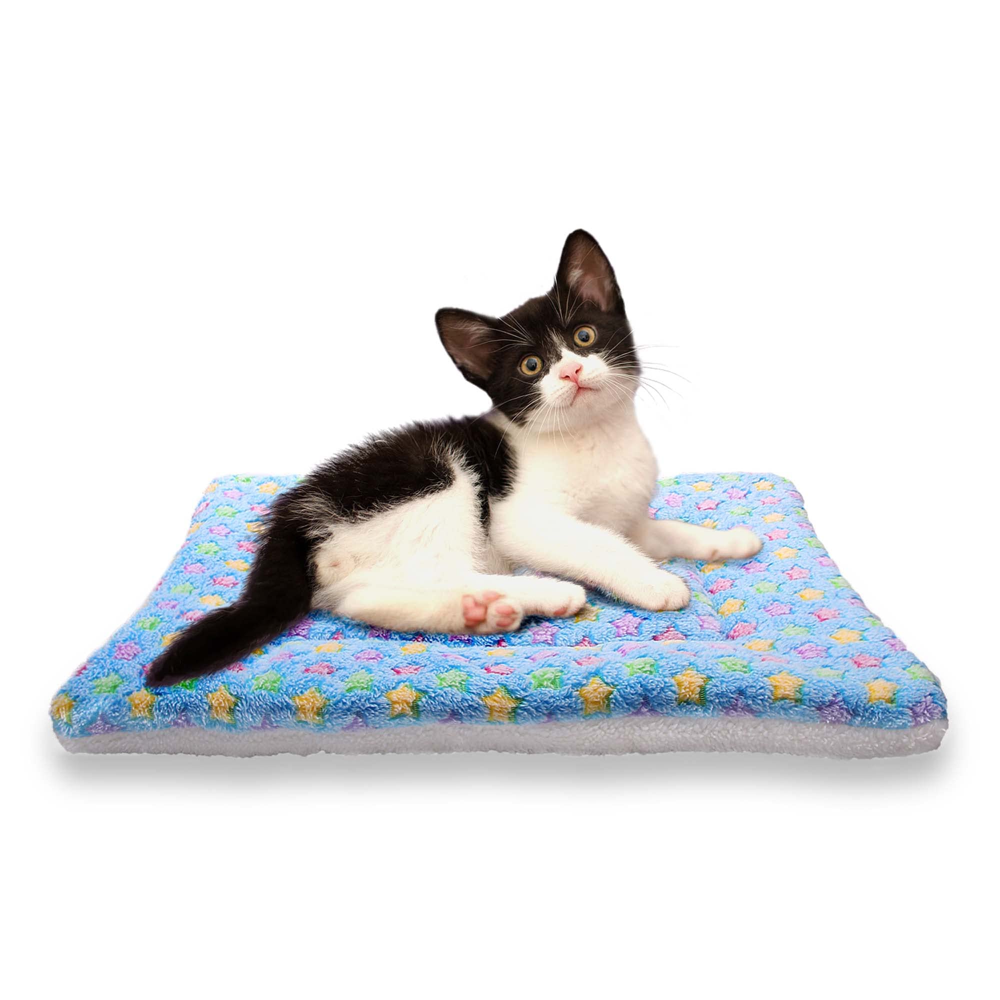 FJWYSANGU Manta mullida para mascotas y gatos, terciopelo coral suave, alfombrilla de cojín para mascotas, cubierta cálida, alfombrilla suave, L azul claro