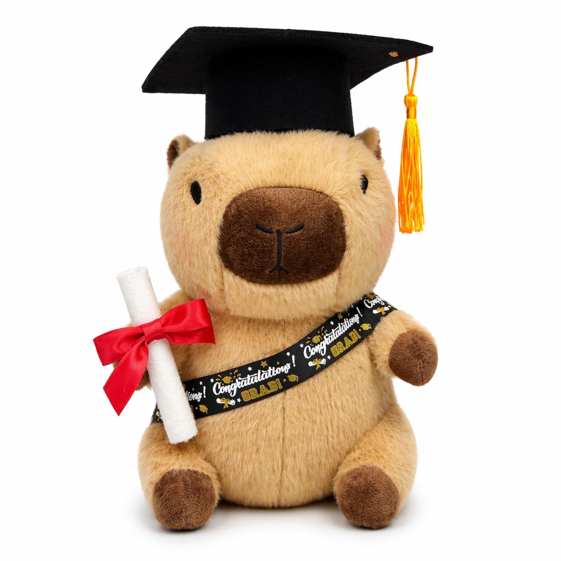 Amazon.com: HACHIMI Capybara Stuffed Animal, 12 Inch Graduation
