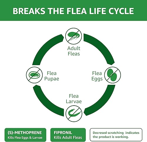 Miniatura 3 de Marca Yaxa – Solimo tratamiento tópico de pulgas y garrapatas para gatos (más de 1.5 libras), 3 dosis