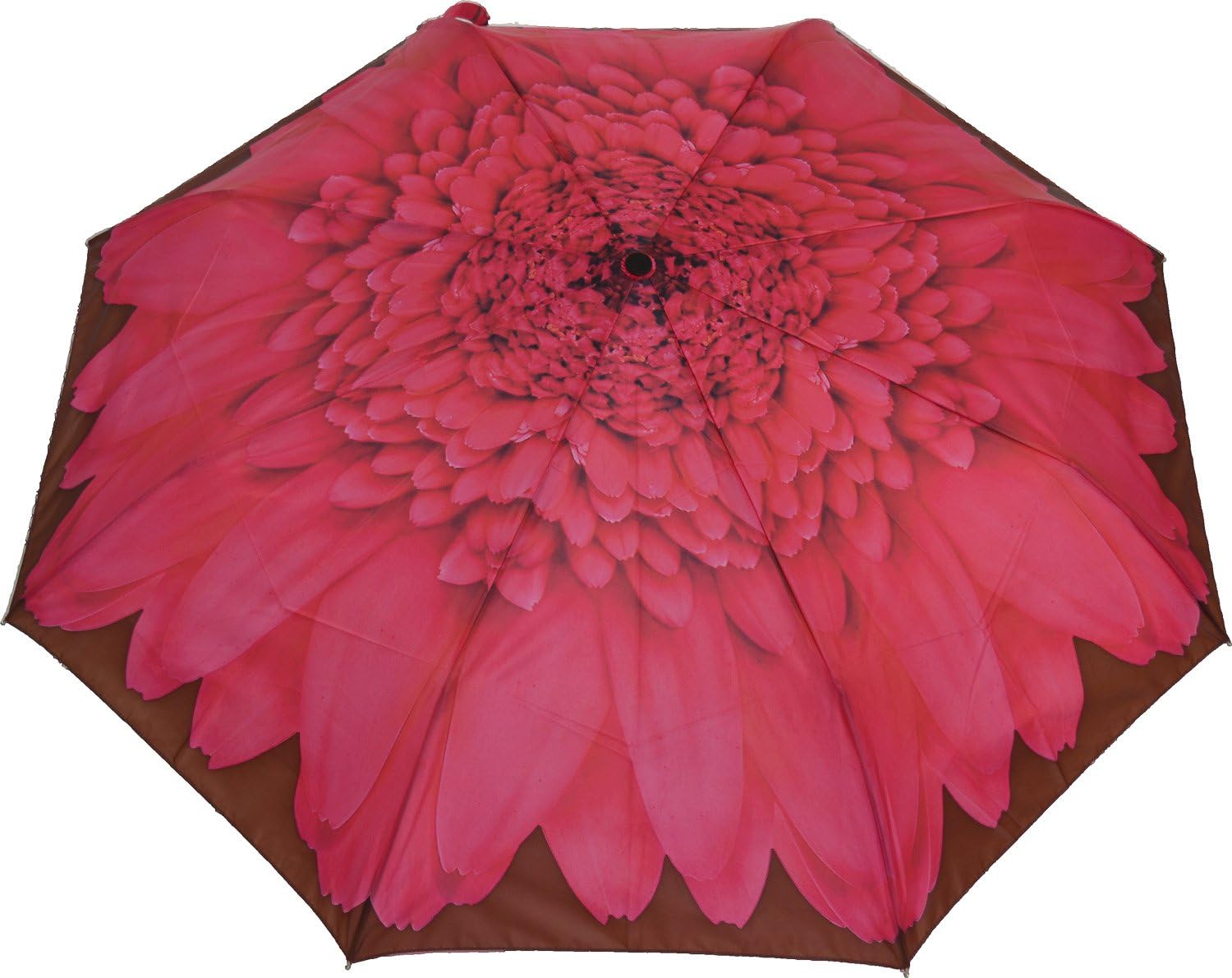Artbrollies Folding Umbrella - Gerbera Daisy