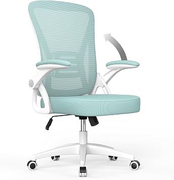 naspaluro Office Chair Ergonomic Desk with 90  Flip-up Armrest Lumbar Support, Height Adjustable Chair, Executive Swivel Computer Padded Seat Cushion for Home/Office-Green, 50 x 50 x 92 CM K010
