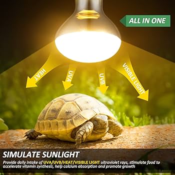 Mercury Vapor Bulb For Reptiles MIXJOY 100W Reptile Heat Lamp Bulb