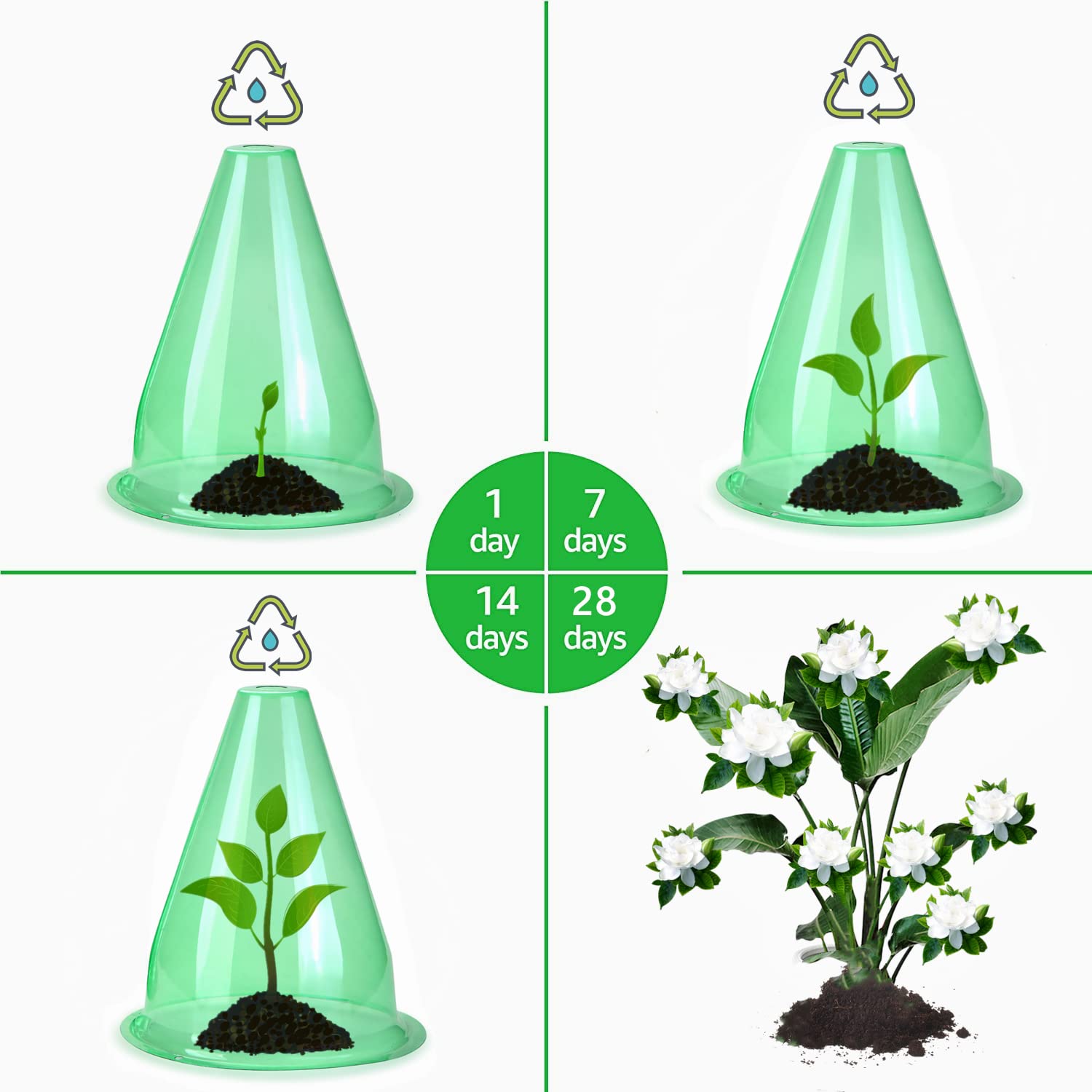【24 Piezas】 Sombrero para Plantas, Conos para Plantas, Cuello de Caracol, Cubierta para Planta de Ensalada para Proteger Contra Pájaros, Caracoles, Heladas o Climatología, Diámetro de 20cm (24 Piezas)