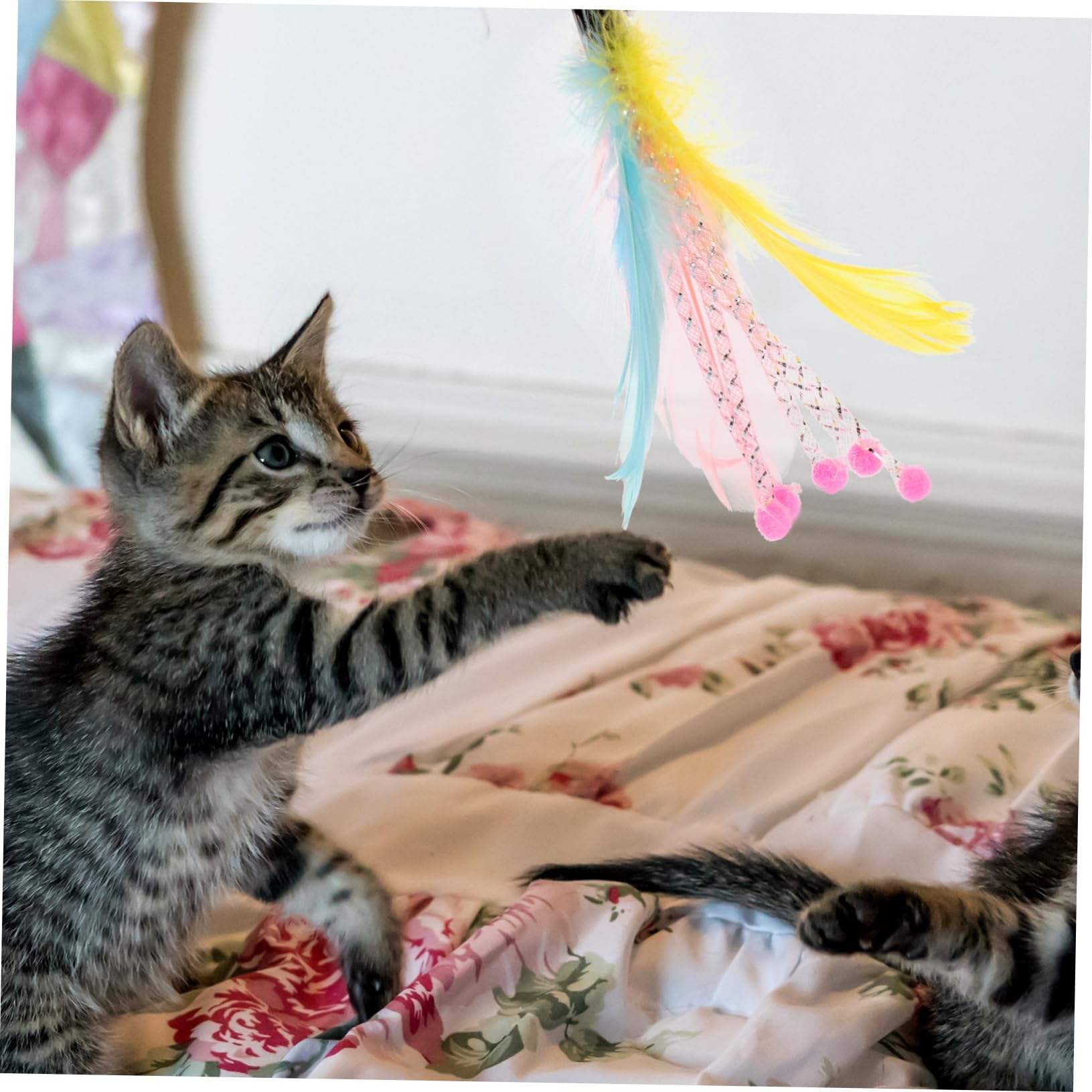 Kisangel 40pièces Jouets Plume pour Chats Canne à Interactive Remplacement De Jouets pour Chats Stimule Exercice Comportement