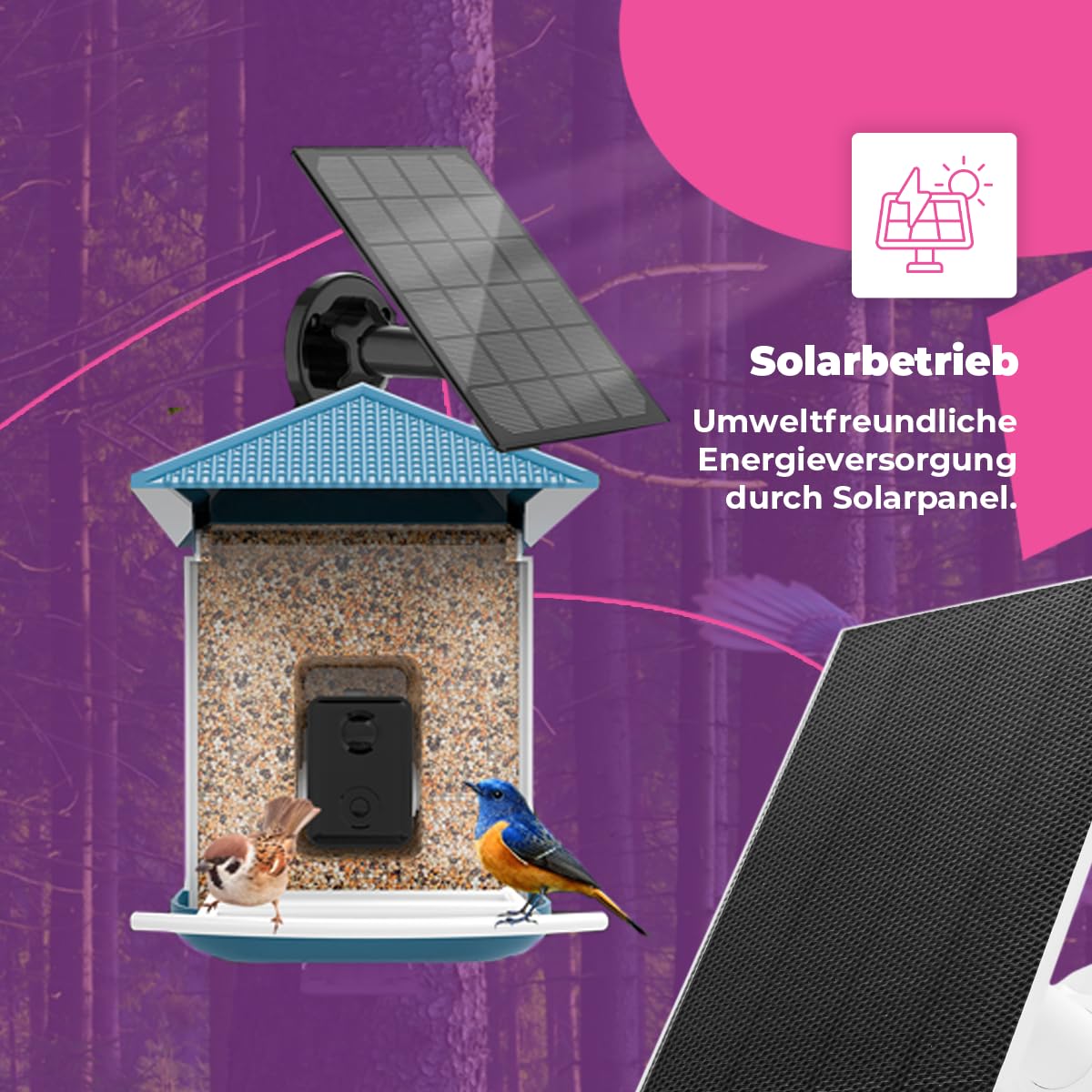 Spacetronik Vogelfutterhaus mit Kamera, Smart Vogelhaus mit Kamera