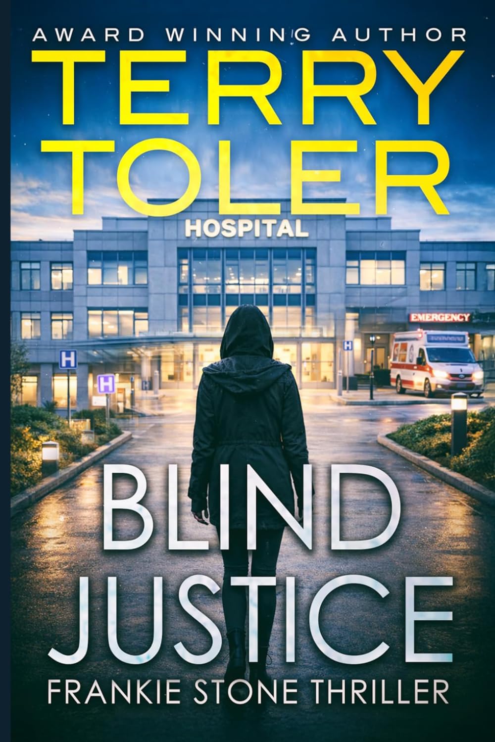 Blind Justice: 3 (Frankie Stone Thrillers)