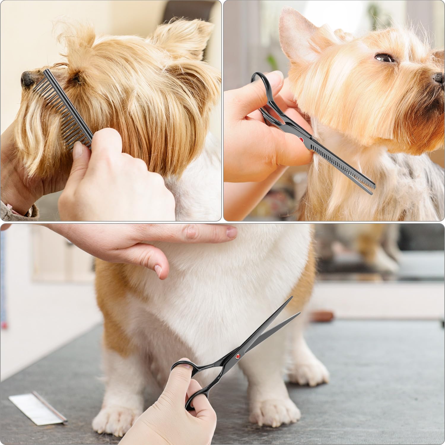 QWORK® Ensemble de Ciseaux Toilettage Chien, 5 EN 1, 7 Pouces, Ciseaux Amincissants, Droits et Incurvés, Peigne de Toilettage, pour Chiens et Chats