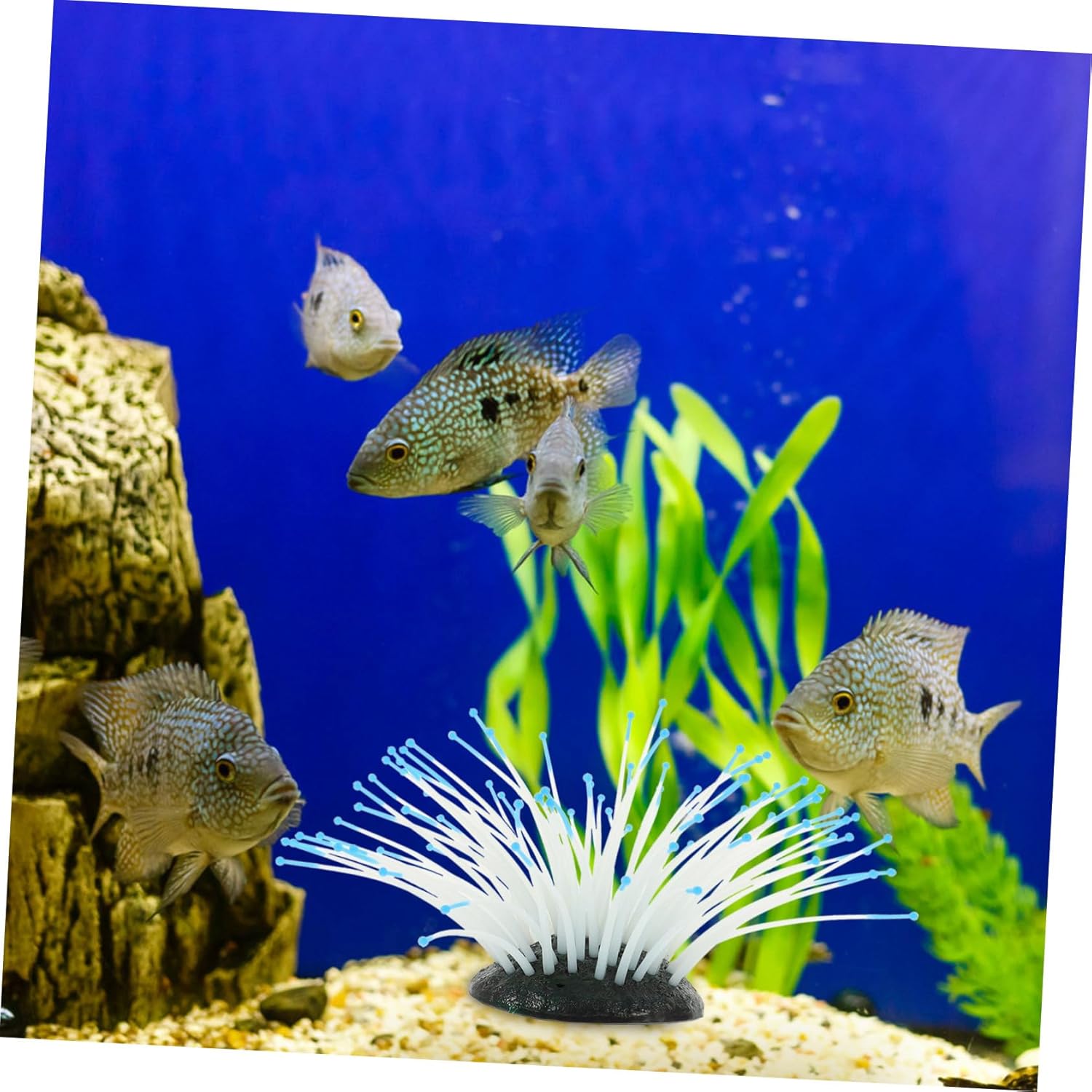 3pcs Artificial Coral Small Aquarium Kit Aquarium Plant Coral Statue Fish Feeder Fish Landscaping Coastal Statue Coral Model Blue Coral Aquarium Coral Ornament