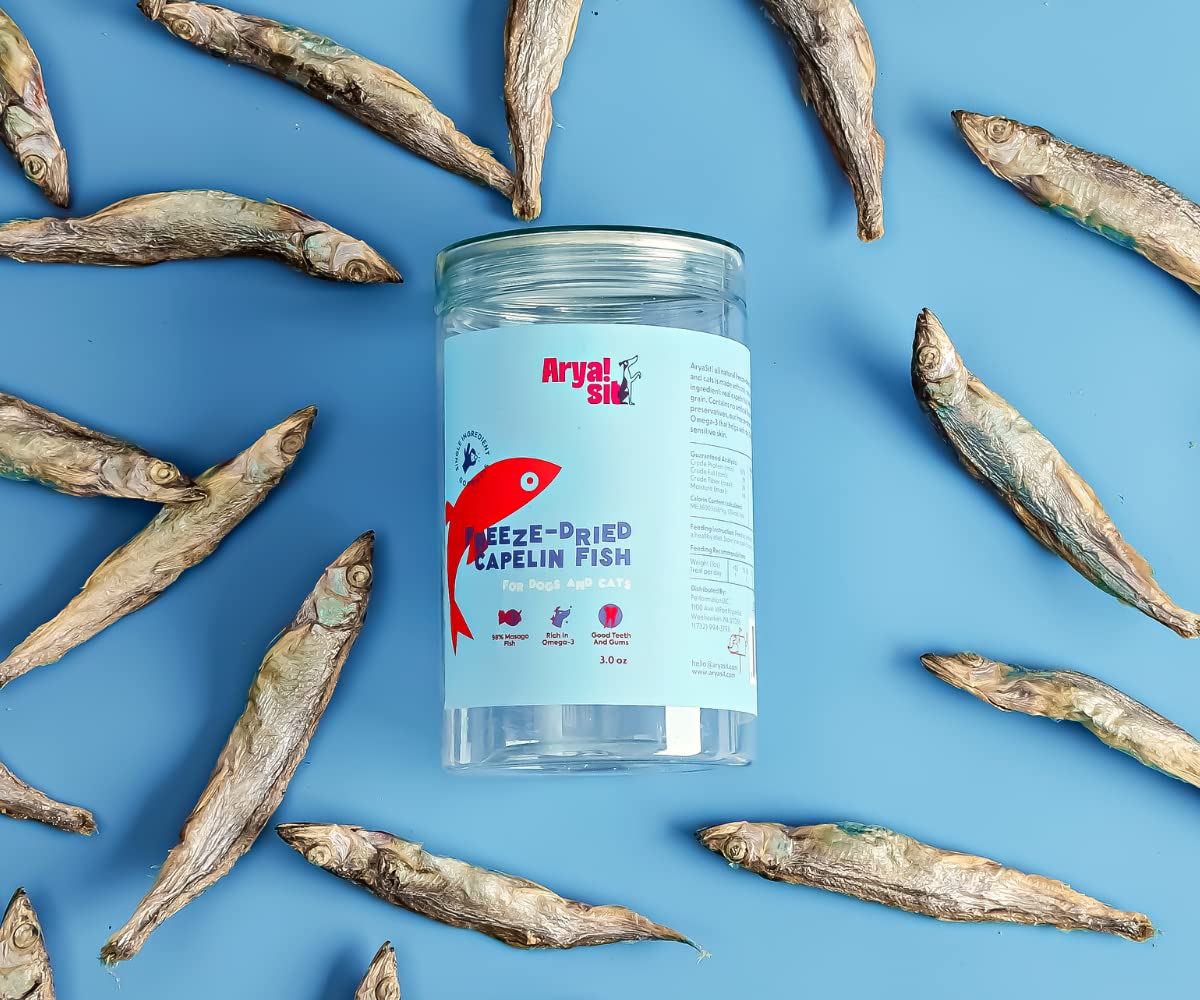 Arya Sit! - Freeze-Dried Single Ingredient Treat (Quail Egg Yolk) for Dogs and Cats - High Protein · Rich in Lecithin for Healthy Coat · No Artificial Ingredients · 4 oz/8 oz: Caplin Fish