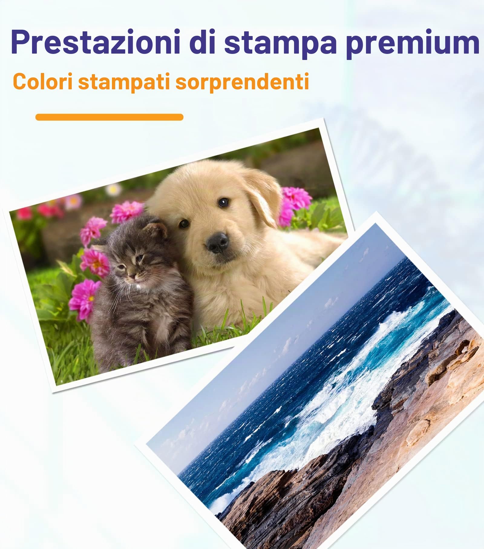 T9731 T9732 T9733 T9734 Sacca inchiostro con sostituzione Epson WF-C869Ra Cartuccia di inchiostro per stampante a getto d'inchiostro Cartuccia di inchiostro completa (4 confezioni)