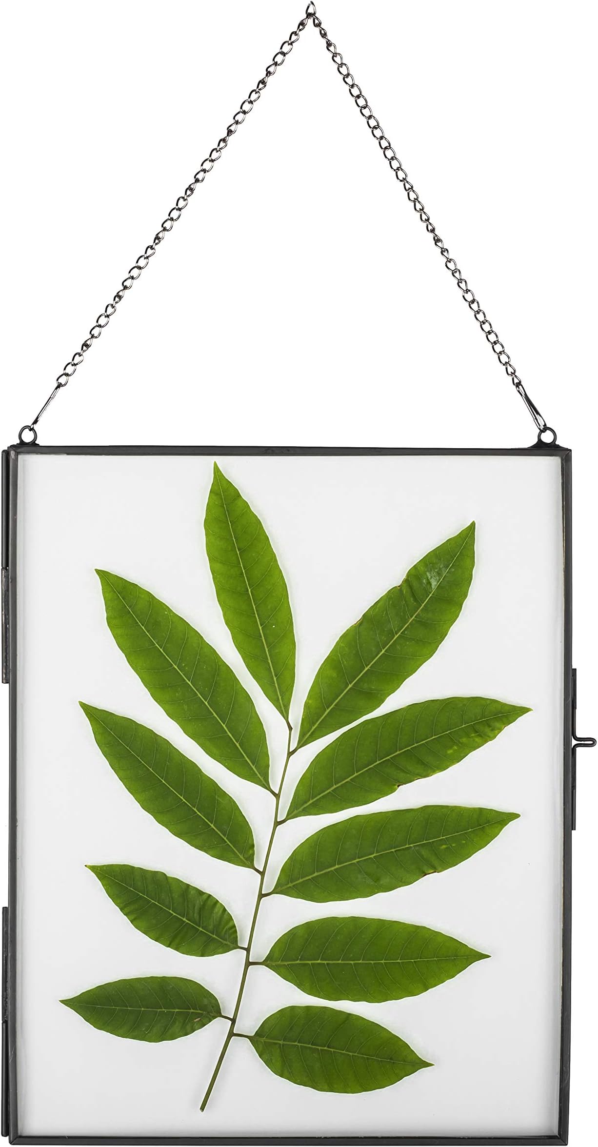 NCYP 14.2" x 11" Large Black Hanging Painted Brass Glass Photo Picture Frame