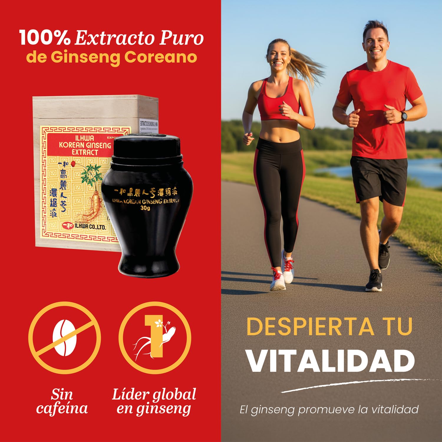 Tongil | 100% Extracto Puro De Ginseng Coreano Ilhwa - Para Hacer Té de Ginseng - Experiencia Relajante y Revitalizante - Raíces Panax ginseng de Cultivo Propio y Extracción Exclusiva