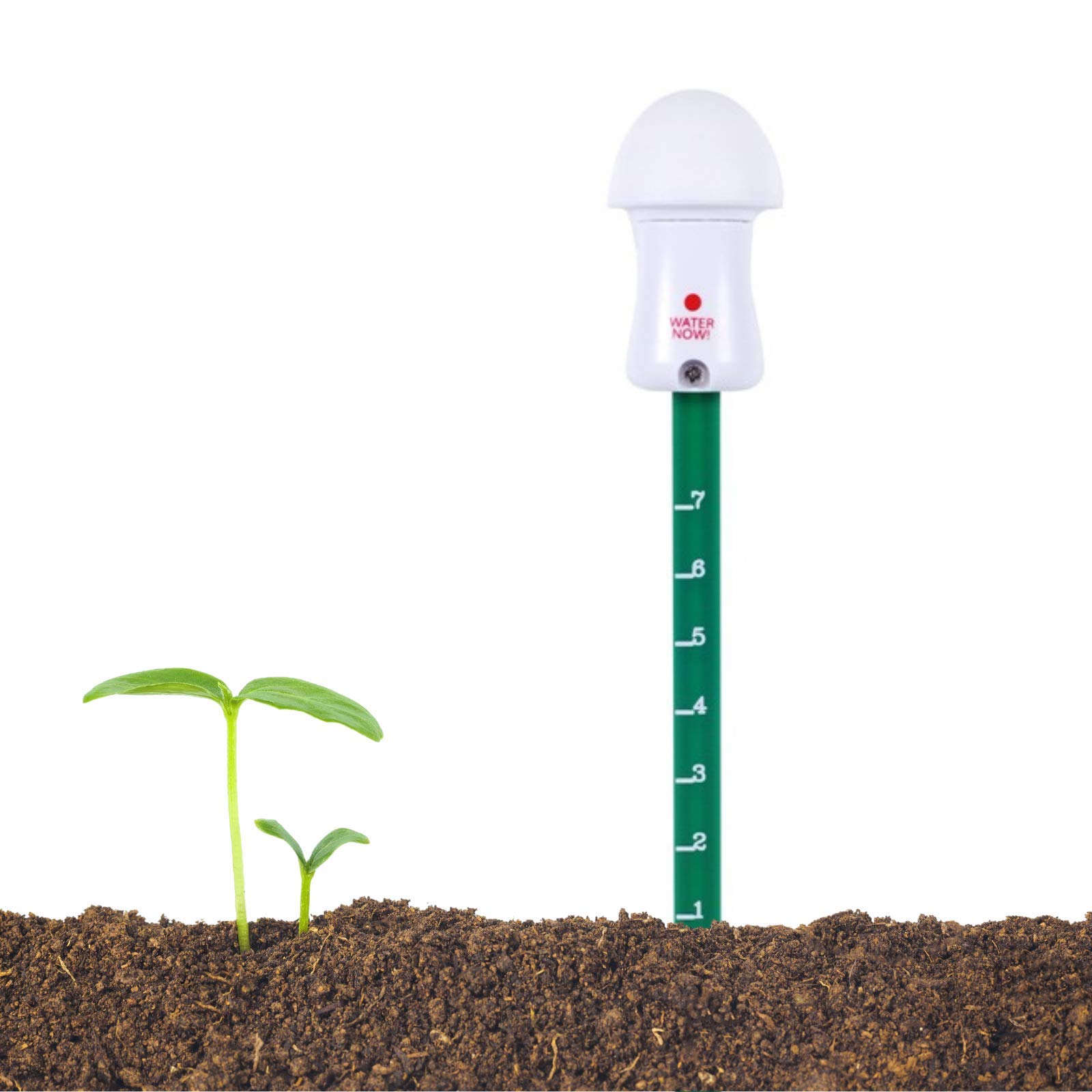 Buy Geevon Digital Soil Moisture Meter for Plants, Plant Water Meter