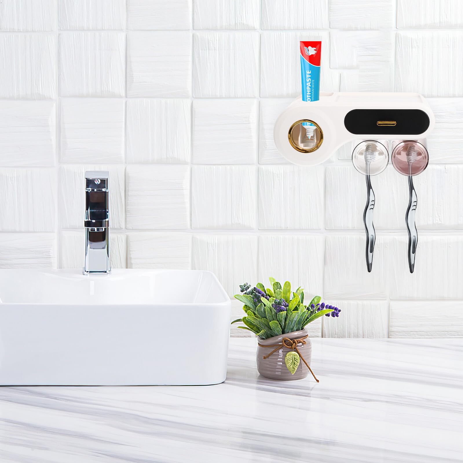 Organizador de Pared de Baño Portacepillos de Dientes Negro