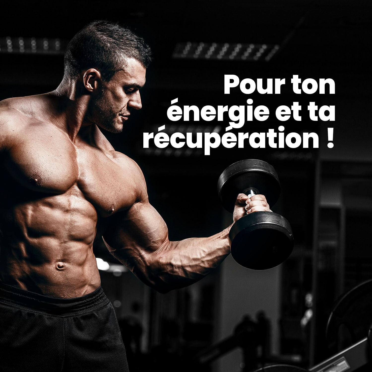 Mammut Nutrition – Protéines formule 90 Vanille 3 kg – Mélange 4 sources (whey, soja, lait, œuf) + vitamine B6 – 77 % protéines – Shake post-training ou collation riche en protéines
