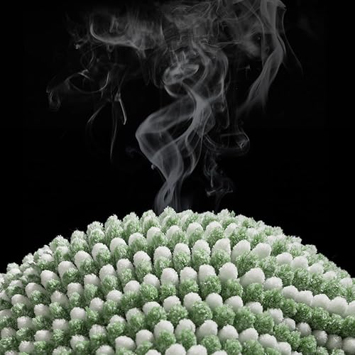 Miniatura 196 de BSICPRO Juego de alfombras y tapetes de baño, 2 piezas de felpilla gruesa y absorbente, antideslizantes, suaves y peludas para baño, lavables a