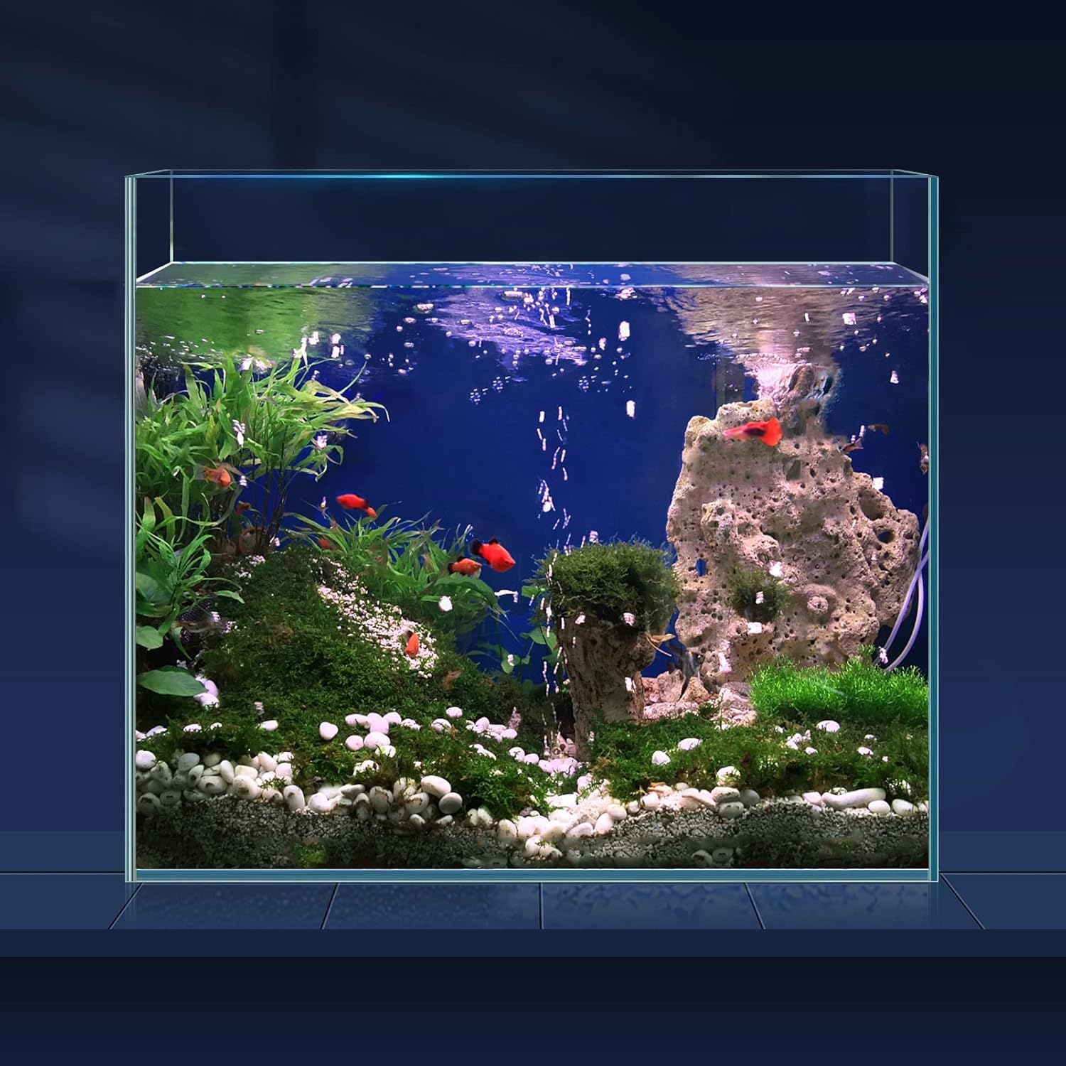LAQUAL Fish Tank 25 Litre Made Of Ultra Clear Glass, Rimless Low Iron Aquarium for Betta/Nano/Goldfish/Snail/Shrimp, Fish Tank & Cover Set & Feeding Ring & Cleaning Tools, Nice Home Décor