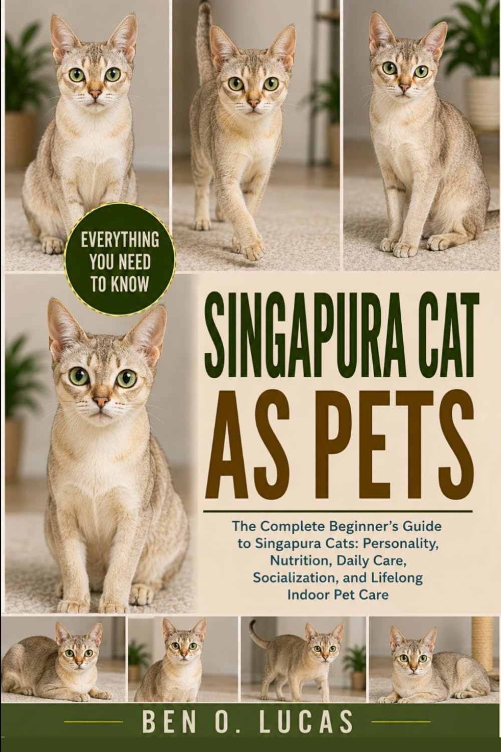 SINGAPURA CAT AS PETS: The Complete Beginner’s Guide to Singapura Cats: Personality, Nutrition, Daily Care, Socialization, and Lifelong Indoor Pet Care