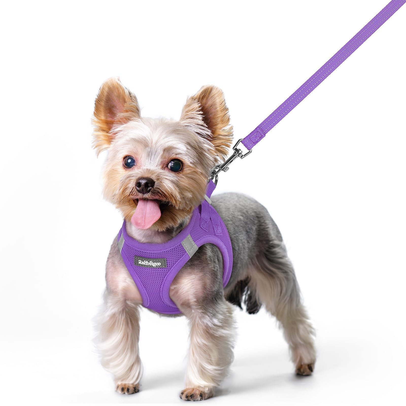 rabbitgoo Dog Harness Small Dog and Leash Set, Step-in Soft Mesh Puppy Harness with Reflective Strips, Lightweight Breathable Pet Vest for Walking Training, Purple, XS โ image 1