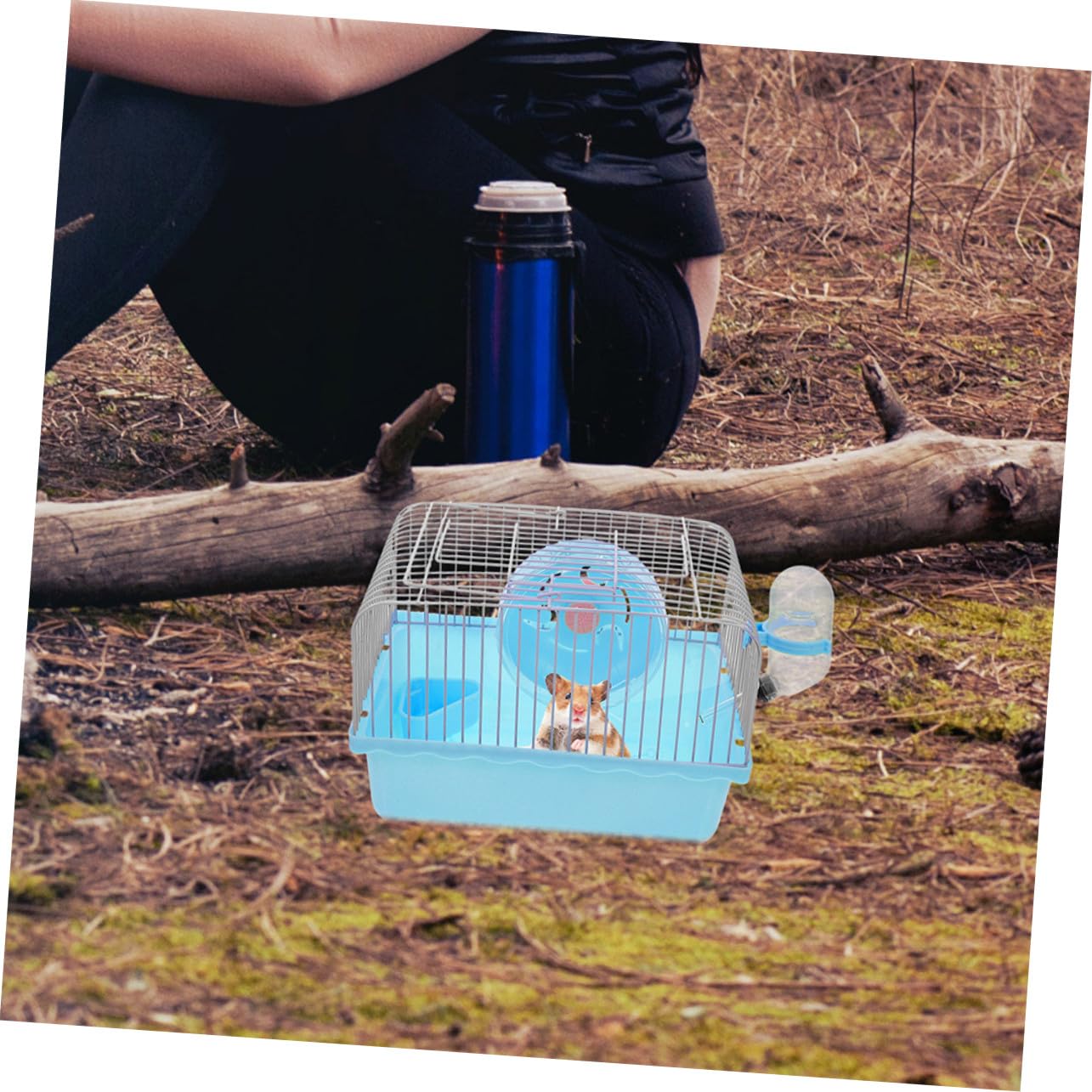 Toddmomy Tragbare Hamster Transportbox für Hamster und Mäuse 2 Stück-Pack Leicht mit Trennbereichen für Aktivität Ruhe und Fütterung