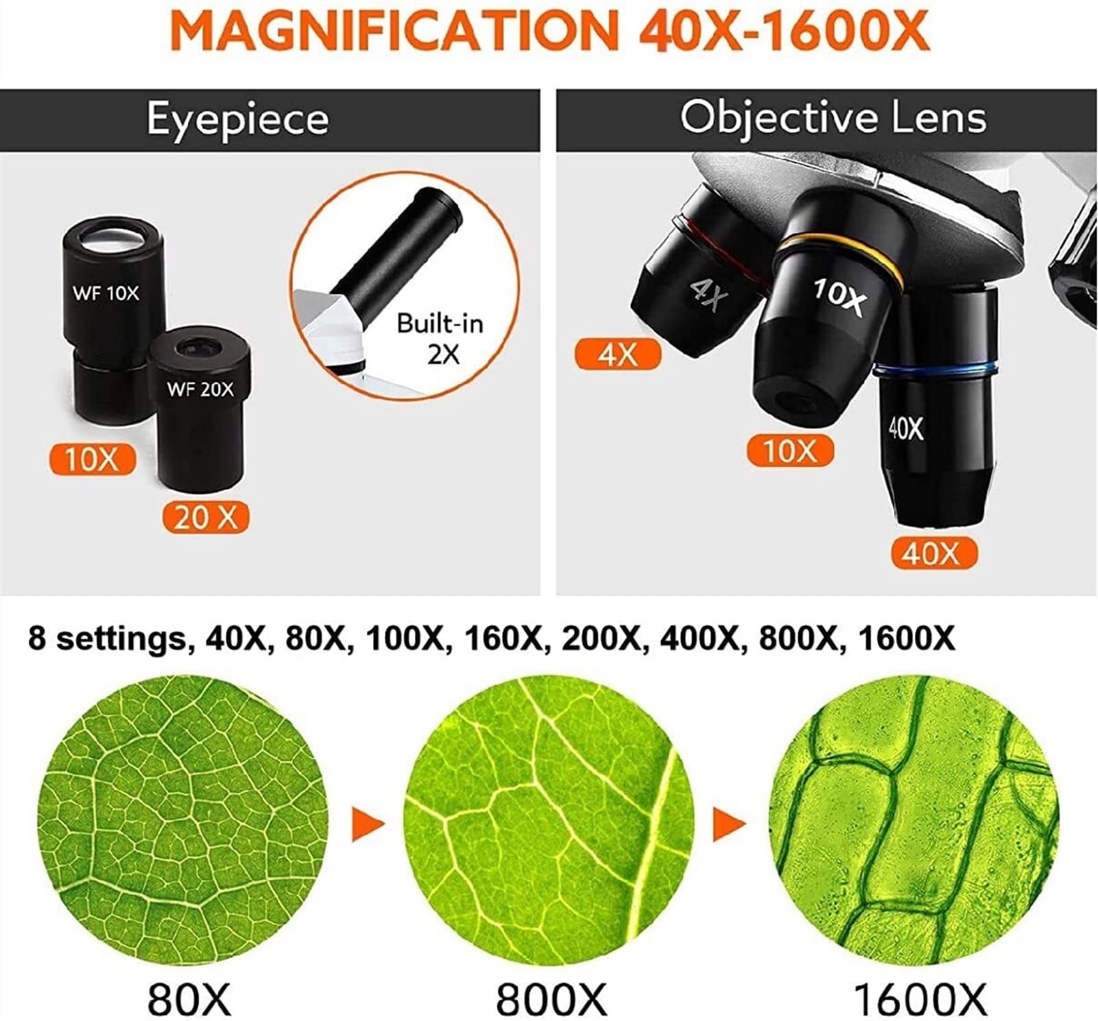 40-1600X Microscopi for i Bambini Studenti Adulti Potente Formazione biologici Microscopi con scivoli Set Adattatore telefonico