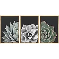 SIGNWIN Framed Wall Art Print Set Desert Rose Echeveria Succulent Set Nature Plants Photography Modern Art Closeup Relax/Calm Dark Black and White for Living Room, Bedroom, Office - 16