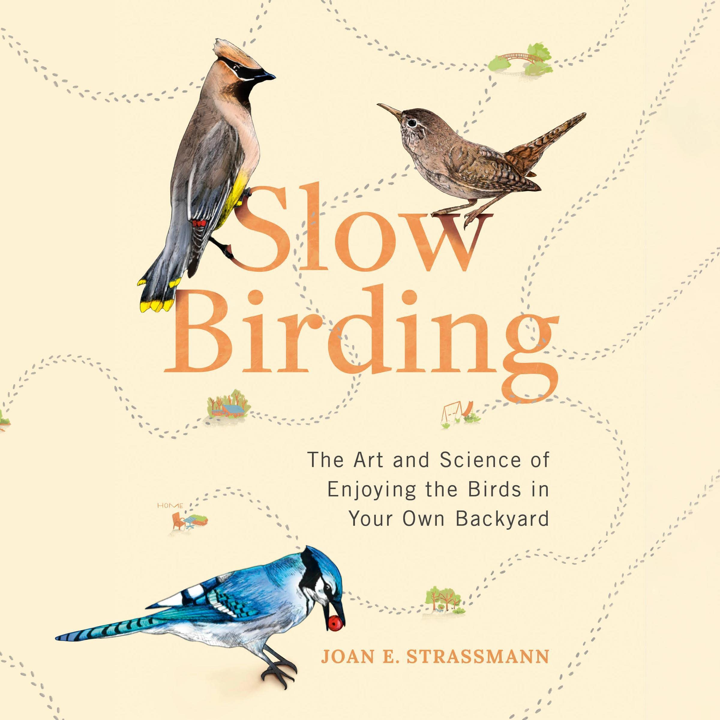 Cover art for Slow Birding