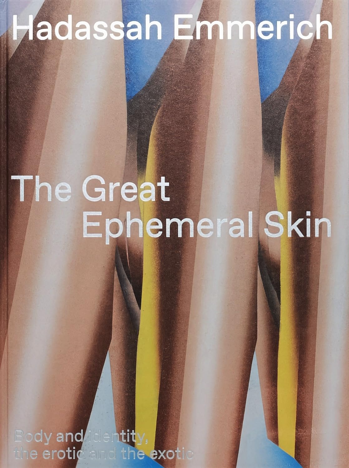 The Great Ephemeral Skin pour comprendre l'art contemporain