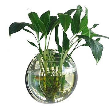 Layfoxz Home Decoration Wall Mount Fish Tanks Goldfish Bowl Acrylic Hanging Aquariums Flowerpot Flower Vase